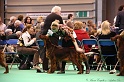 Crufts2011 890